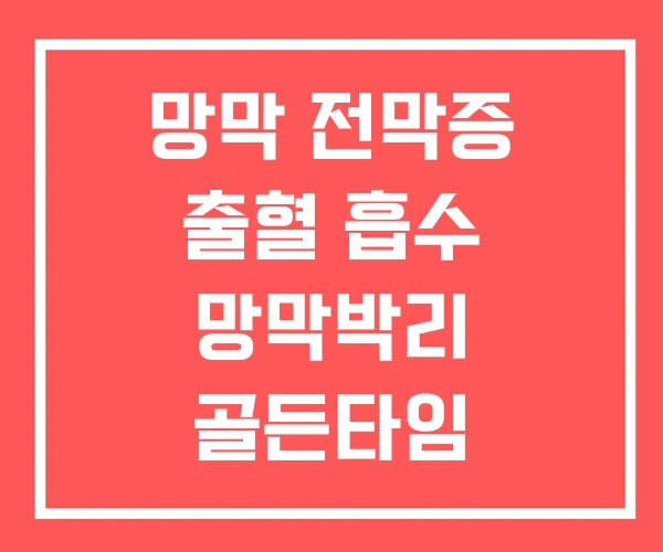 망막 전막증 출혈 흡수 망막박리 골든타임 망막 전막증 출혈 흡수 망막박리 골든타임