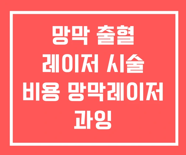망막 출혈 레이저 시술 비용 망막레이저 과잉 망막 출혈 레이저 시술 비용 망막레이저 과잉