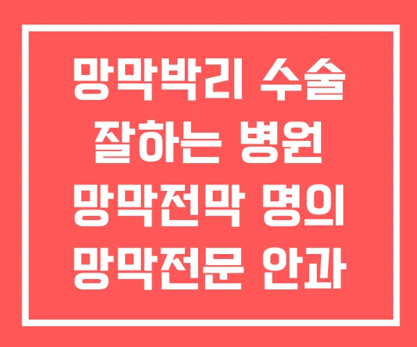 망막박리 수술 잘하는 병원 망막전막 명의 망막전문 안과 망막박리 수술 잘하는 병원 망막전막 명의 망막전문 안과