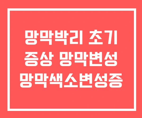 망막박리 초기 증상 망막변성 망막색소변성증 망막박리 초기 증상 망막변성 망막색소변성증