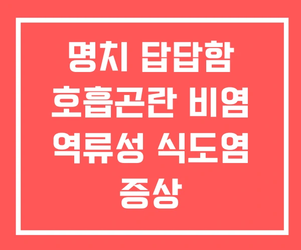 명치 답답함 호흡곤란 비염 역류성 식도염 증상 명치 답답함 호흡곤란 비염 역류성 식도염 증상