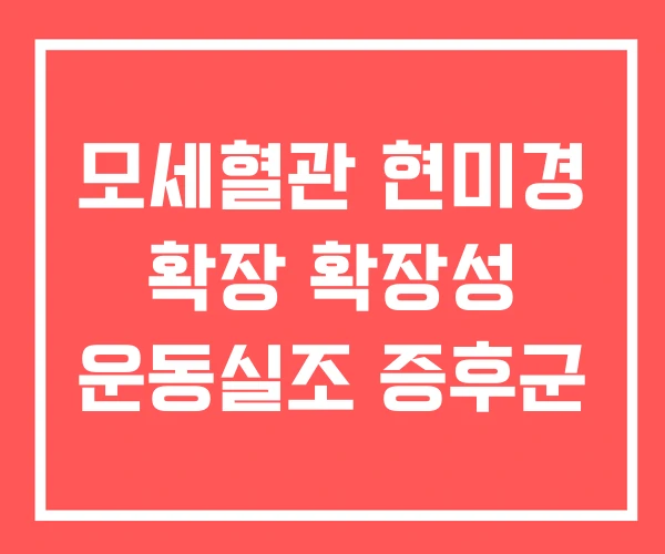 모세혈관 현미경 확장 확장성 운동실조 증후군 모세혈관 현미경 확장 확장성 운동실조 증후군