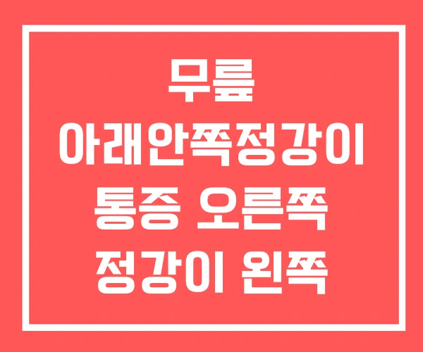 무릎 아래안쪽정강이 통증 오른쪽 정강이 왼쪽