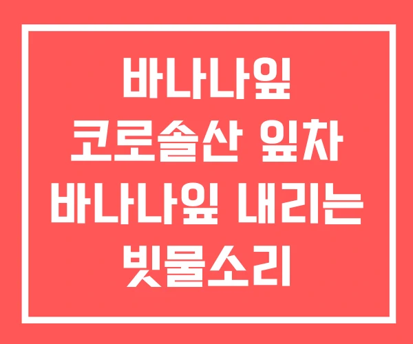 바나나잎 코로솔산 잎차 바나나잎 내리는 빗물소리 바나나잎 코로솔산 잎차 바나나잎 내리는 빗물소리