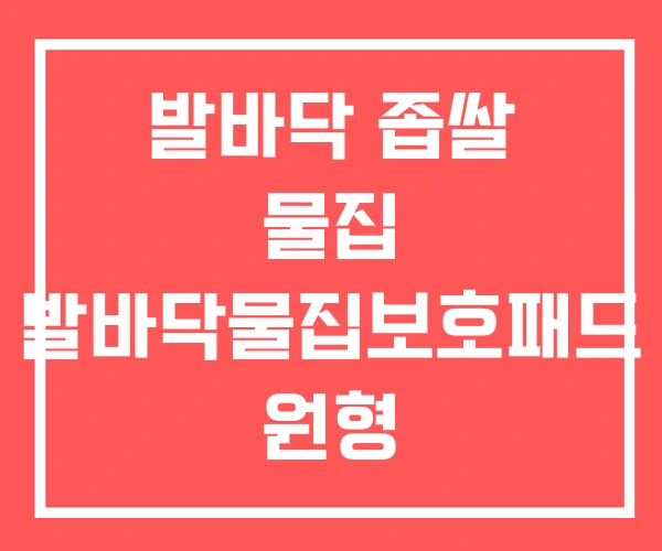 발바닥 좁쌀 물집 발바닥물집보호패드 원형 발바닥물집제거 발바닥 좁쌀 물집 발바닥물집보호패드 원형 발바닥물집제거