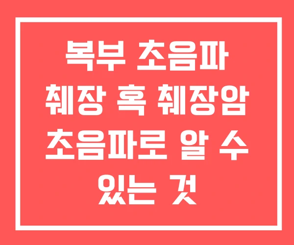 복부 초음파 췌장 혹 췌장암 초음파로 알 수 있는 것 복부 초음파 췌장 혹 췌장암 초음파로 알 수 있는 것