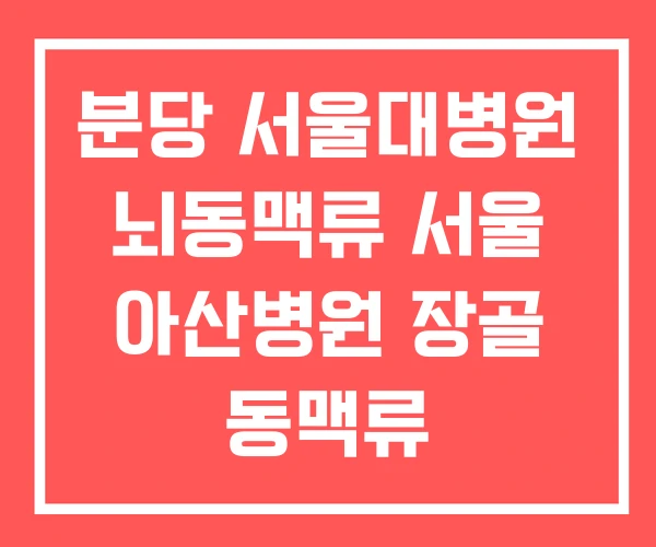 분당 서울대병원 뇌동맥류 서울 아산병원 장골 동맥류 분당 서울대병원 뇌동맥류 서울 아산병원 장골 동맥류