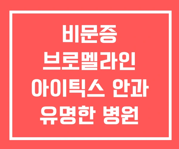 비문증 브로멜라인 아이틱스 안과 유명한 병원 비문증 브로멜라인 아이틱스 안과 유명한 병원