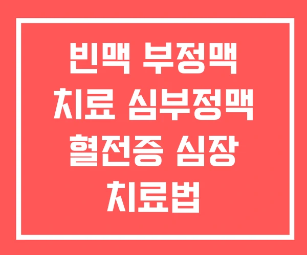빈맥 부정맥 치료 심부정맥 혈전증 심장 치료법 빈맥 부정맥 치료 심부정맥 혈전증 심장 치료법