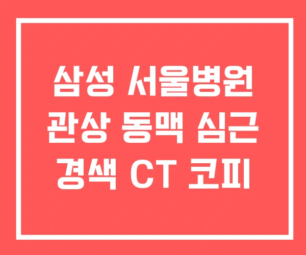 삼성 서울병원 관상 동맥 심근 경색 CT 코피 삼성 서울병원 관상 동맥 심근 경색 CT 코피