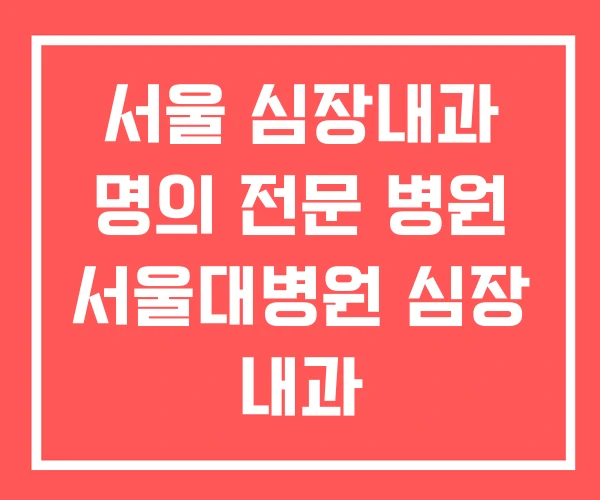 서울 심장내과 명의 전문 병원 서울대병원 심장 내과 서울 심장내과 명의 전문 병원 서울대병원 심장 내과