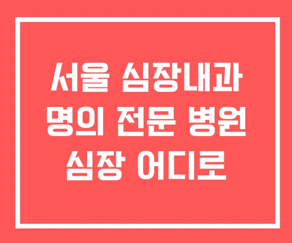 서울 심장내과 명의 전문 병원 심장 어디로 서울 심장내과 명의 전문 병원 심장 어디로