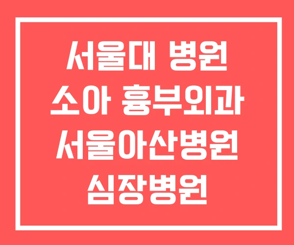 서울대 병원 소아 흉부외과 서울아산병원 심장병원 신경외과 서울대 병원 소아 흉부외과 서울아산병원 심장병원 신경외과