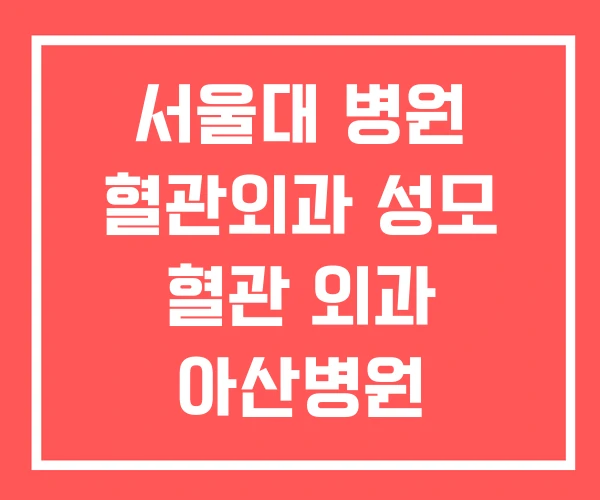 서울대 병원 혈관외과 성모 혈관 외과 아산병원 서울대 병원 혈관외과 성모 혈관 외과 아산병원