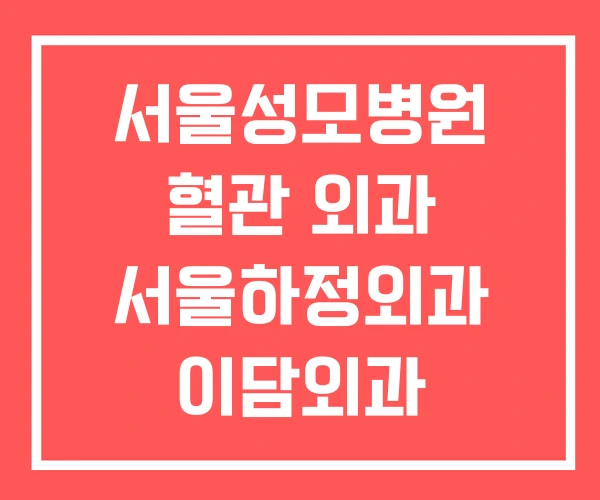 서울성모병원 혈관 외과 서울하정외과 이담외과 서울성모병원 혈관 외과 서울하정외과 이담외과