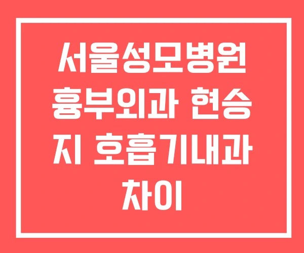 서울성모병원 흉부외과 현승 지 호흡기내과 차이