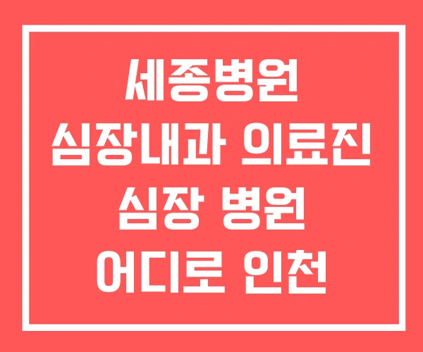 세종병원 심장내과 의료진 심장 병원 어디로 인천 전문 세종병원 심장내과 의료진 심장 병원 어디로 인천 전문