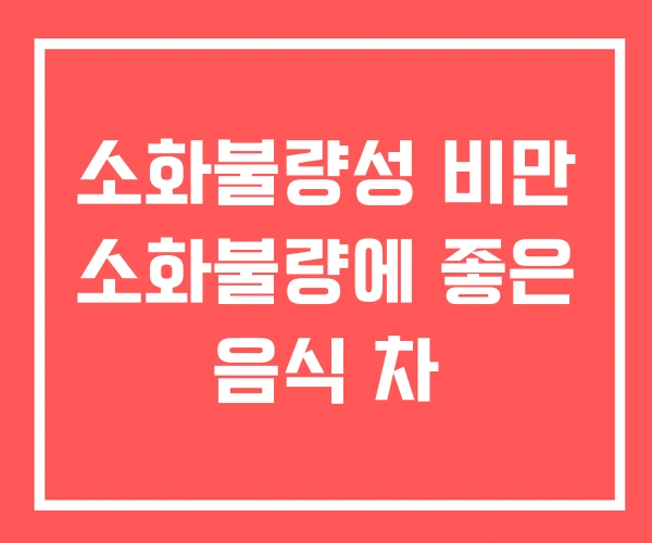 소화불량성 비만 소화불량에 좋은 음식 차 소화불량성 비만 소화불량에 좋은 음식 차