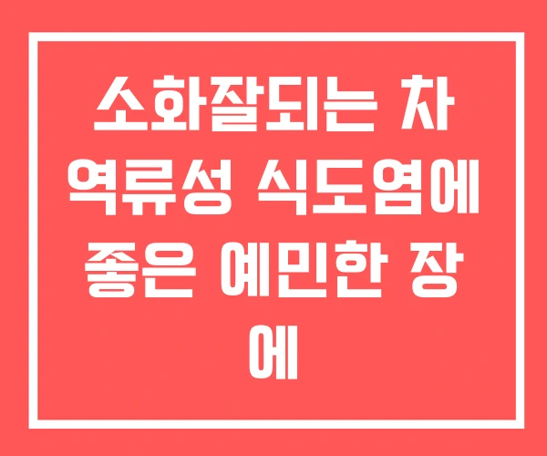 소화잘되는 차 역류성 식도염에 좋은 예민한 장 에 소화잘되는 차 역류성 식도염에 좋은 예민한 장 에