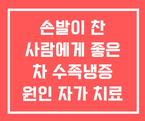 손발이 찬 사람에게 좋은 차 수족냉증 원인 자가 치료