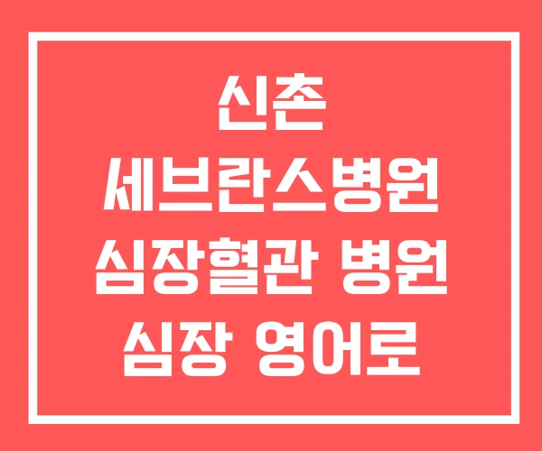 신촌 세브란스병원 심장혈관 병원 심장 영어로