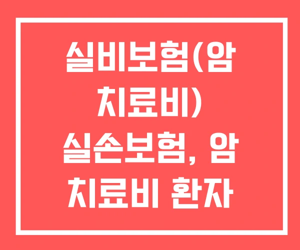 실비보험(암 치료비) 실손보험, 암 치료비 환자 실비 실비보험(암 치료비) 실손보험, 암 치료비 환자 실비