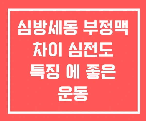 심방세동 부정맥 차이 심전도 특징 에 좋은 운동 심방세동 부정맥 차이 심전도 특징 에 좋은 운동
