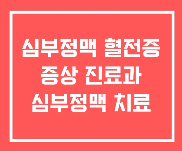 심부정맥 혈전증 증상 진료과 심부정맥 치료 심부정맥 혈전증 증상 진료과 심부정맥 치료