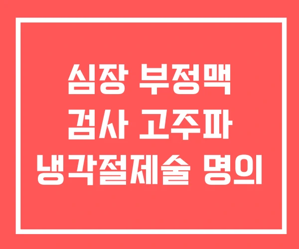 심장 부정맥 검사 고주파 냉각절제술 명의 심장 부정맥 검사 고주파 냉각절제술 명의