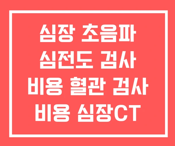 심장 초음파 심전도 검사 비용 혈관 검사 비용 심장CT