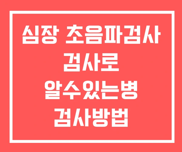 심장 초음파검사 검사로 알수있는병 검사방법 심장 초음파검사 검사로 알수있는병 검사방법