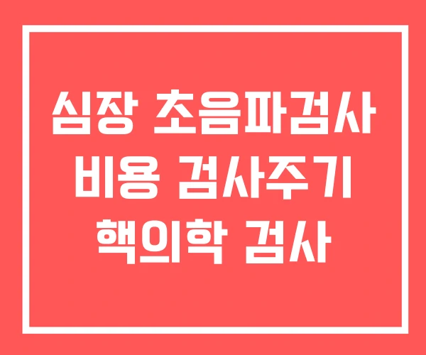 심장 초음파검사 비용 검사주기 핵의학 검사 심장 초음파검사 비용 검사주기 핵의학 검사