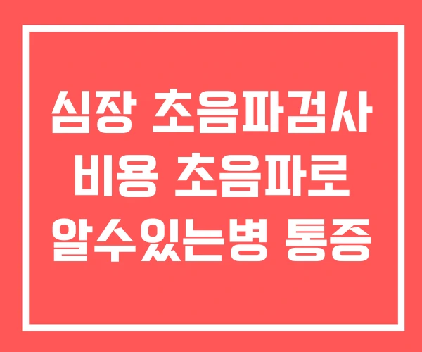 심장 초음파검사 비용 초음파로 알수있는병 통증