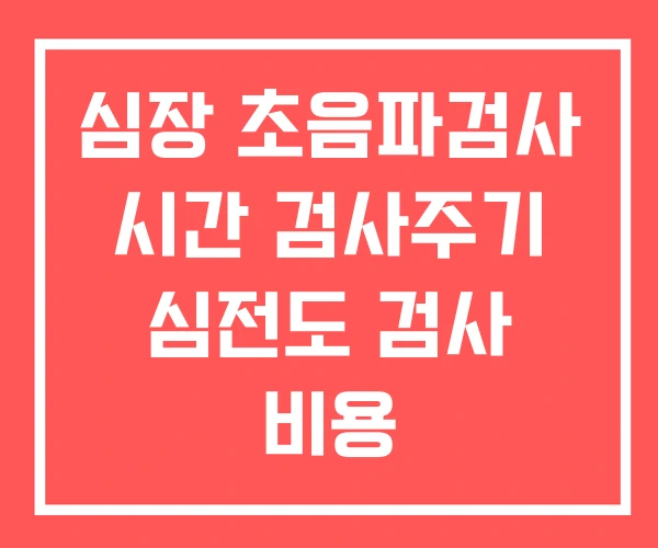 심장 초음파검사 시간 검사주기 심전도 검사 비용