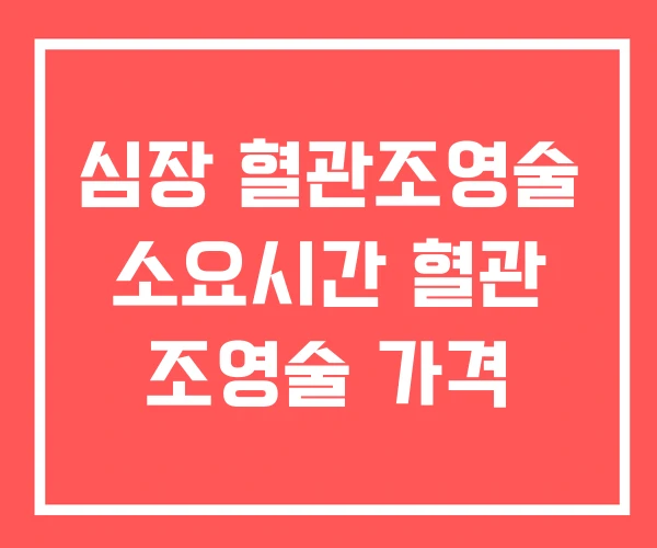 심장 혈관조영술 소요시간 혈관 조영술 가격 심장 혈관조영술 소요시간 혈관 조영술 가격