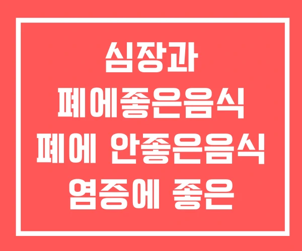 심장과 폐에좋은음식 폐에 안좋은음식 염증에 좋은 심장과 폐에좋은음식 폐에 안좋은음식 염증에 좋은
