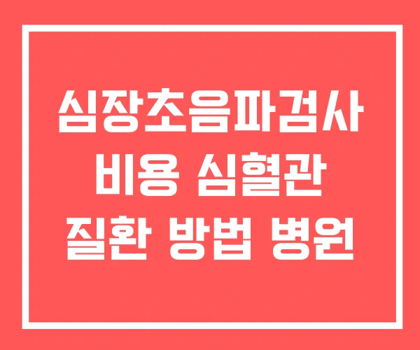 심장초음파검사 비용 심혈관 질환 방법 병원