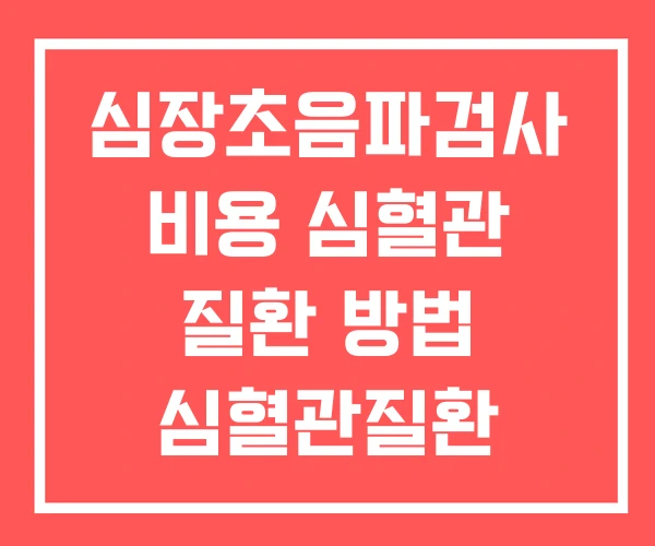 심장초음파검사 비용 심혈관 질환 방법 심혈관질환