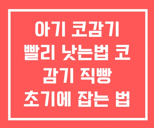 아기 코감기 빨리 낫는법 코 감기 직빵 초기에 잡는 법 아기 코감기 빨리 낫는법 코 감기 직빵 초기에 잡는 법