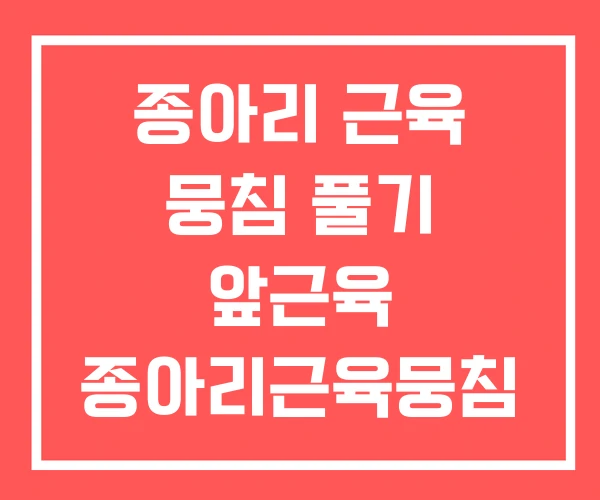 종아리 근육 뭉침 풀기 앞근육 종아리근육뭉침 종아리 근육 뭉침 풀기 앞근육 종아리근육뭉침