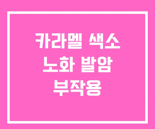 카라멜 색소 노화 발암 부작용 카라멜 색소 노화 발암 부작용