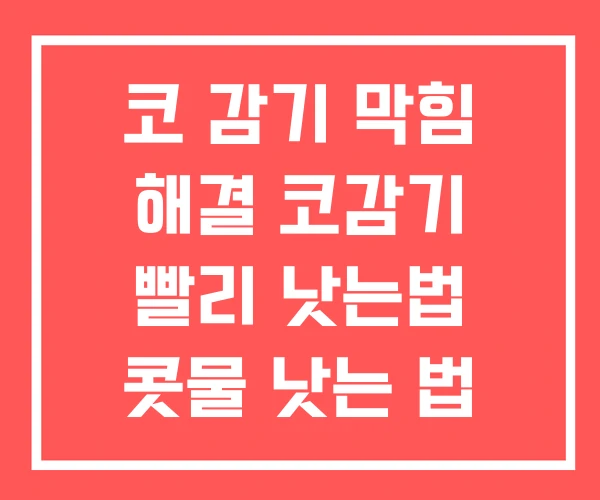 코 감기 막힘 해결 코감기 빨리 낫는법 콧물 낫는 법