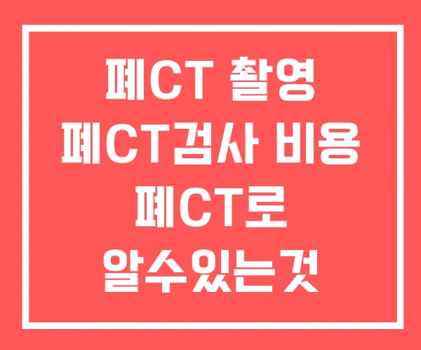 폐CT 촬영 폐CT검사 비용 폐CT로 알수있는것 폐CT 촬영 폐CT검사 비용 폐CT로 알수있는것