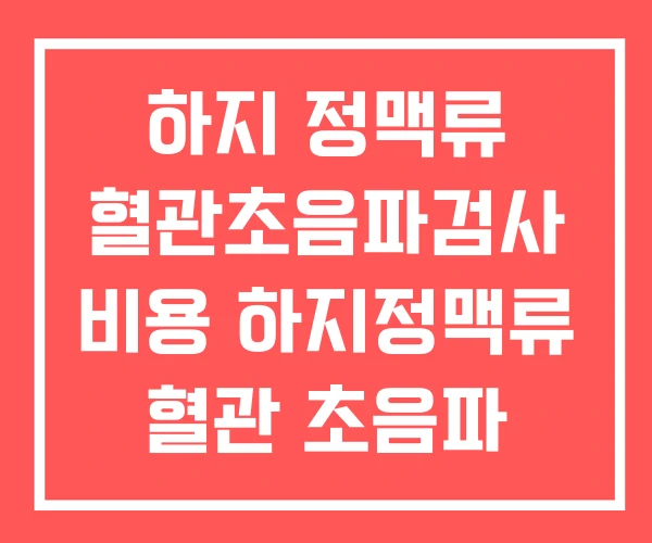 하지 정맥류 혈관초음파검사 비용 하지정맥류 혈관 초음파 하지 정맥류 혈관초음파검사 비용 하지정맥류 혈관 초음파