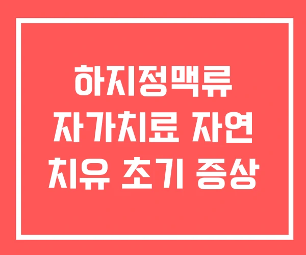 하지정맥류 자가치료 자연 치유 초기 증상 하지정맥류 자가치료 자연 치유 초기 증상