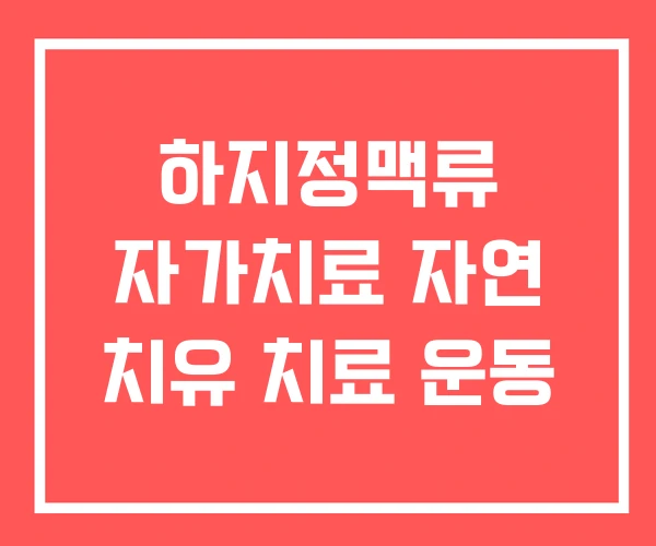 하지정맥류 자가치료 자연 치유 치료 운동 하지정맥류 자가치료 자연 치유 치료 운동