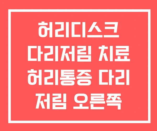 허리디스크 다리저림 치료 허리통증 다리 저림 오른쪽 허리디스크 다리저림 치료 허리통증 다리 저림 오른쪽
