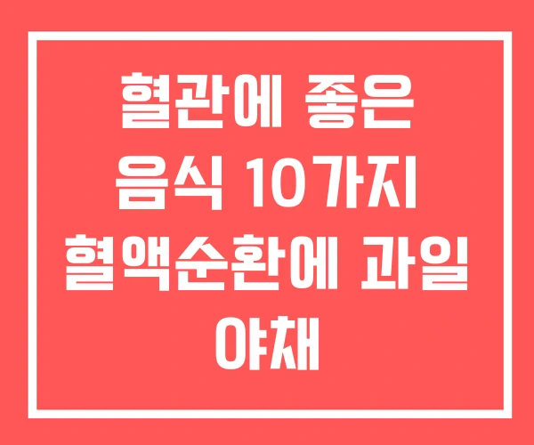 혈관에 좋은 음식 10가지 혈액순환에 과일 야채