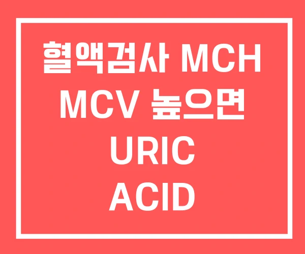 혈액검사 MCH MCV 높으면 URIC ACID 혈액검사 MCH MCV 높으면 URIC ACID
