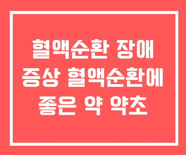 혈액순환 장애 증상 혈액순환에 좋은 약 약초 혈액순환 장애 증상 혈액순환에 좋은 약 약초